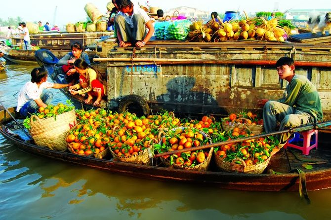 xe ghép Vĩnh Long - Bến Tre - Mỹ Tho